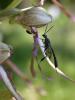 33364 – Photo : Edith Armange – France (36)