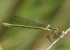 33268 – Photo : Pierre SENGEZ – France (33)