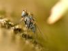 33399 – Photo : Denys Liger – France (27)