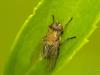 33885 – Photo : Denys Liger – France (27)