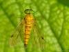 33893 – Photo : Denys Liger – France (27)