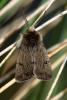 33632 – Photo : Vincent Derreumaux – France (04)