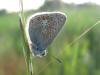 33538 – Photo : jeromebubu – France (81)