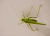 330297 – Photo : Caroline Leplat – France (94)