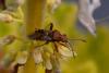 330693 – Photo : Pierre Duhem – France (75)