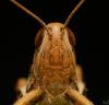 330794 – Photo : Damien GRILLIERE – France (15)