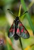 330741 – Photo : Bernard Saquet – France (73)