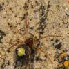 330708 – Photo : Simon Thevenin – France (34)