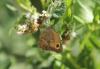 330182 – Photo : Philippe Fourtier – France (06)