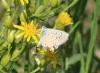 330786 – Photo : Philippe Fourtier – France (06)