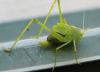 330370 – Photo : Antoinette Fleixas – France (21)