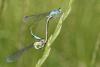 330307 – Photo : Lionel Casset – France (89)