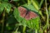 330798 – Photo : Daniel Ventard – France (71)