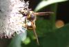 330918 – Photo : Catherine Reymonet-Smitten – France (19)