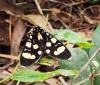 330967 – Photo : jpjepilou – Bénin
