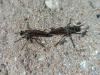 330761 – Photo : Titouan Le Floch – France (17)