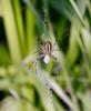 330304 – Photo : lguez – France (12)