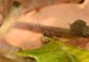 330486 – Photo : Maxime Zucca – France (75)