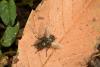 330513 – Photo : Maxime Zucca – France (75)