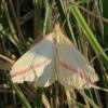 330724 – Photo : Hélène LAVIRON – France (31)