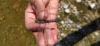 331027 – Photo : Guillaume Morand – France (73)