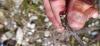 331028 – Photo : Guillaume Morand – France (73)