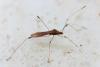 331075 – Photo : Mathurin CARNET – France (58)