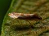 331367 – Photo : Cédric Mondy – France (56)