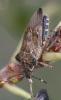 331137 – Photo : Yoann Pelouard – France (72)