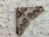 332309 – Photo : Bobabar – France (95)