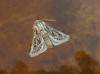 333131 – Photo : Guillaume Paulus – France (13)