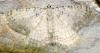 333331 – Photo : Cyril Coursier – France (05)