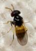 333753 – Photo : André Burgers – Espagne