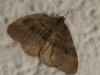 333976 – Photo : Georges ROCA FILELLA – France (74)