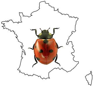 Indéterminé