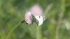 334178 – Photo : florent besson – France (83)