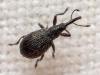 334680 – Photo : André Burgers – Espagne