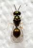 334928 – Photo : André Burgers – Espagne
