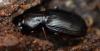 334660 – Photo : Christian Berquer – France (05)