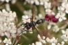 334963 – Photo : Maxime Zucca – France (26)