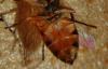 334764 – Photo : Emilien TEULIER – France (82)