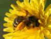 334247 – Photo : Jean-Sébastien Carteron – France (26)