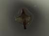 334475 – Photo : Daniel INGREMEAU – France (36)