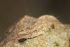 334556 – Photo : Simon Thevenin – France (13)