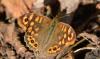 334856 – Photo : Christian Berquer – France (05)