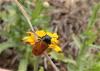 334890 – Photo : ORCHALLAN – France (20)