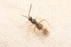 335798 – Photo : Nicolas ORLIAC – France (74)