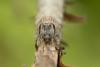 335879 – Photo : Jessica Joachim – France (11)