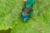 335169 – Photo : Jessica Joachim – France (13)