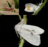335891 – Photo : Emilien TEULIER – France (82)